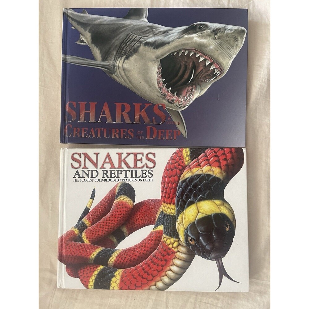 2 Books Snakes And Reptiles + Sharks Sandy Creek Publishing Creatures